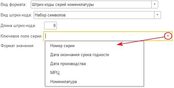 Как сформировать формат штрихкода серии номенклатуры